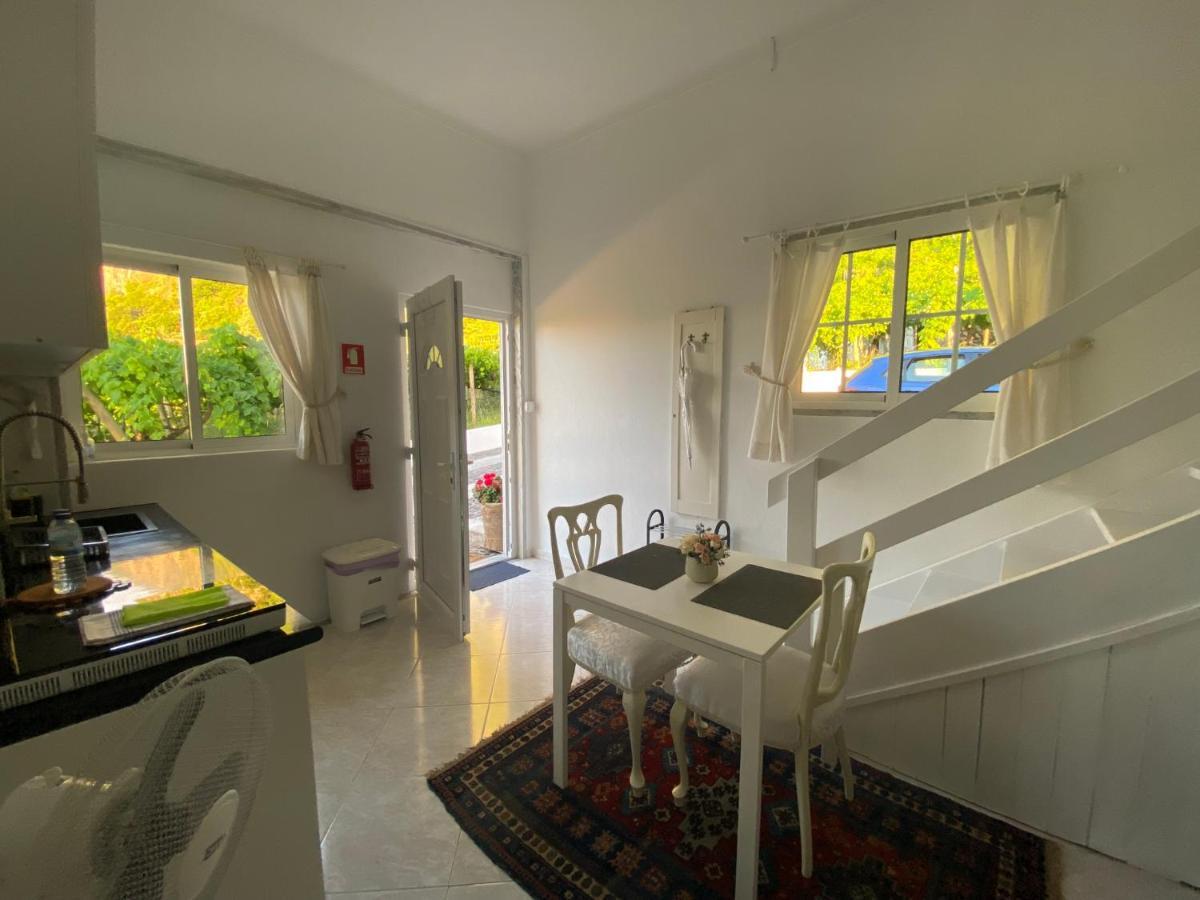 Ocean Garden, 4 Units By The Ocean Apartment Sao Vicente  Exterior photo